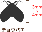 チョウバエ 3mm～4mm