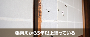 張替えから5年以上経っている