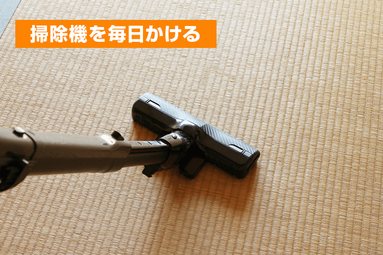 掃除機を毎日かける