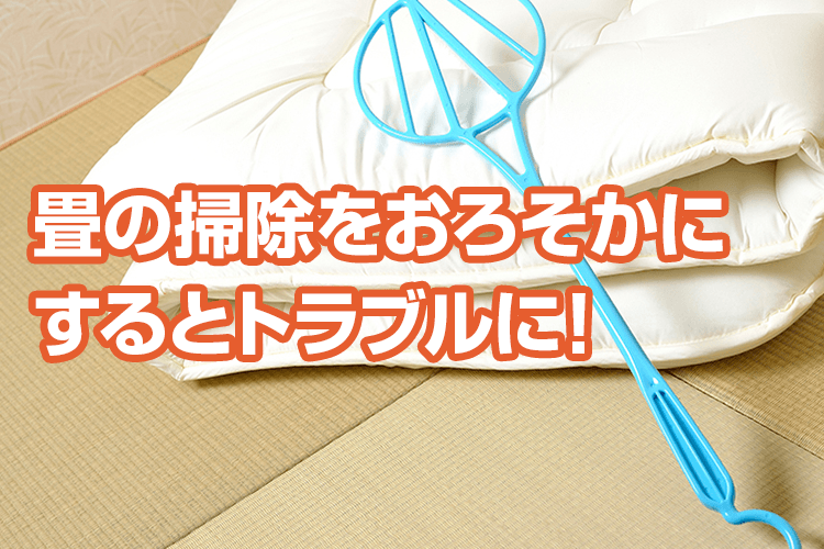 畳にわく虫の駆除方法！発生する虫の種類から予防方法までご紹介