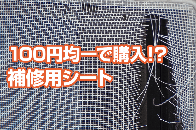 どうしたら直せる?