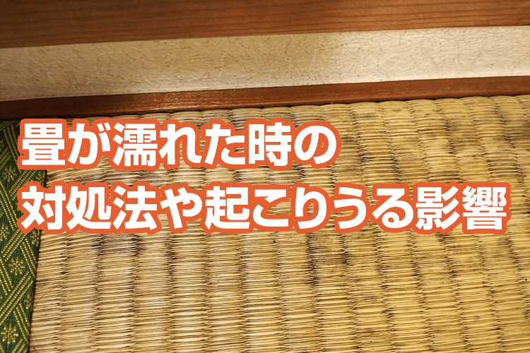 濡れた畳はどうしたらよい？緊急対応とそのあとの処置について解説