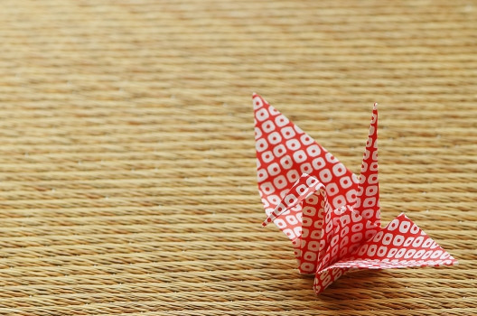 便利な畳の厚さとは?あなたの生活スタイルにあった畳を探してみよう